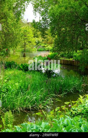 Laghetto presso gli Harold Hillier Gardens vicino a Romsey, Hampshire Foto Stock