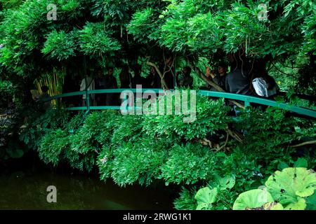 Il Claude Monet Garden a Giverny/Francia Foto Stock