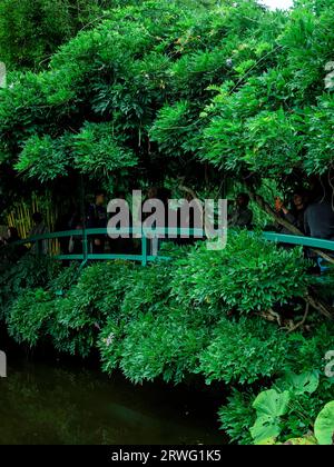 Il Claude Monet Garden a Giverny/Francia Foto Stock