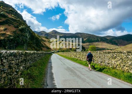 Guardando lungo la strada B5289 verso Buttermere nell'English Lake District con una persona che cammina un cane. REGNO UNITO Foto Stock