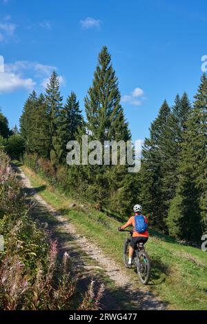 Bella donna anziana in mountain bike elettrica nella Foresta Nera tedesca vicino a Titisee-Neustadt, Baden-Württemberg, Germania Foto Stock