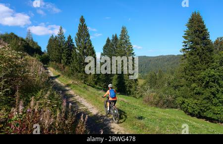 Bella donna anziana in mountain bike elettrica nella Foresta Nera tedesca vicino a Titisee-Neustadt, Baden-Württemberg, Germania Foto Stock