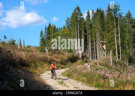 Bella donna anziana in mountain bike elettrica nella Foresta Nera tedesca vicino a Titisee-Neustadt, Baden-Württemberg, Germania Foto Stock