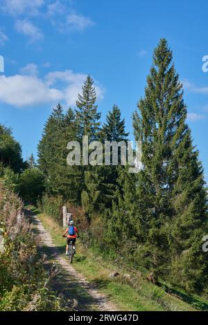 Bella donna anziana in mountain bike elettrica nella Foresta Nera tedesca vicino a Titisee-Neustadt, Baden-Württemberg, Germania Foto Stock