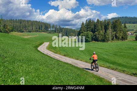 Bella donna anziana in mountain bike elettrica nella Foresta Nera tedesca vicino a Titisee-Neustadt, Baden-Württemberg, Germania Foto Stock