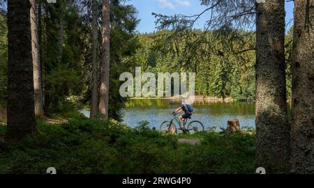 Bella donna anziana in mountain bike elettrica nella Foresta Nera tedesca vicino a Titisee-Neustadt, Baden-Württemberg, Germania Foto Stock