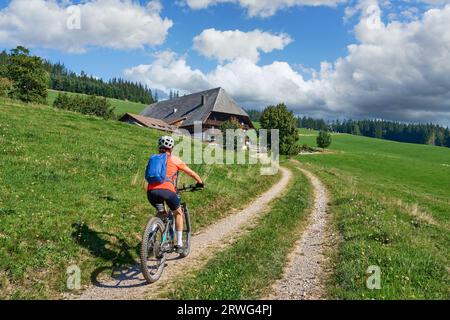 Bella donna anziana in mountain bike elettrica nella Foresta Nera tedesca vicino a Titisee-Neustadt, Baden-Württemberg, Germania Foto Stock