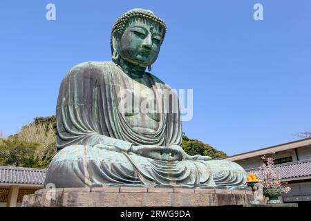 Grande Buddha (Daibutsu) sul terreno del Tempio di Kotokuin a Kamakura, Giappone Foto Stock