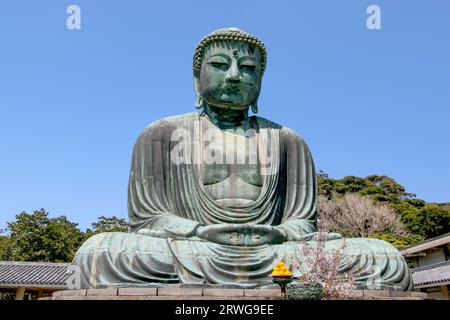Grande Buddha (Daibutsu) sul terreno del Tempio di Kotokuin a Kamakura, Giappone Foto Stock