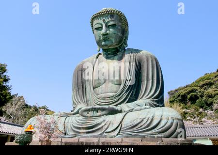 Grande Buddha (Daibutsu) sul terreno del Tempio di Kotokuin a Kamakura, Giappone Foto Stock