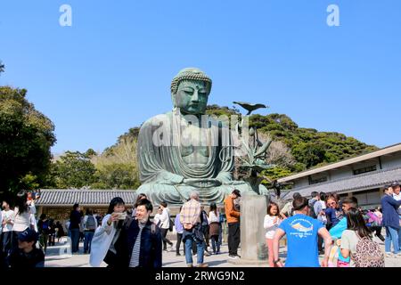 Turisti al grande Buddha (Daibutsu) sul terreno del tempio Kotokuin a Kamakura, Giappone Foto Stock