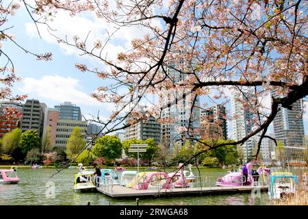 Barche a cigno a noleggio sul laghetto di Shinobazu, Parco Ueno a Tokyo, Giappone Foto Stock