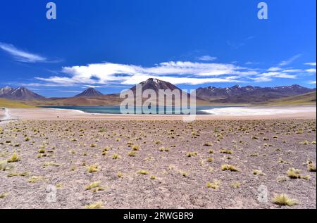 Laguna Miscanti. Socaire, Reserva Nacional Los Flamencos, Antofagasta, Cile. Foto Stock