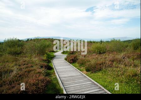 Cavan Burren Park, Geopark, Blacklion, Co Cavan, Irlanda, Foto Stock