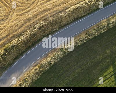 Vista dall'alto di una strada tra campi di coltivazione gialli e verdi nel paesaggio Foto Stock