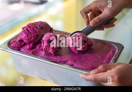 Versare una paletta di gelato gelso in un cucchiaio in frigo Foto Stock