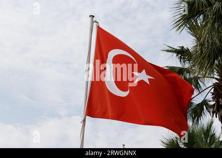 Türk bayrağı. Traduzione Turchia bandiera nel vento Foto Stock