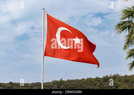 Türk bayrağı. Traduzione Turchia bandiera nel vento Foto Stock