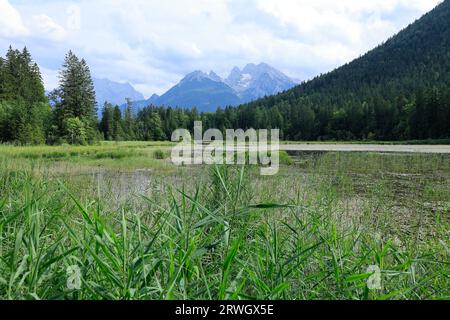 Riserva naturale di Taubensee nel Berchtesgadener Land Foto Stock