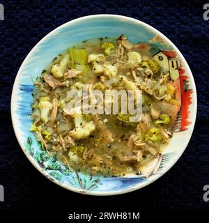 Deliziosa zuppa di pollo con cipolla, aglio, zenzero, broccoli, cavolfiore, e avocado fatto in una fresca giornata estiva a Taylors Falls, Minnesota, USA. Foto Stock