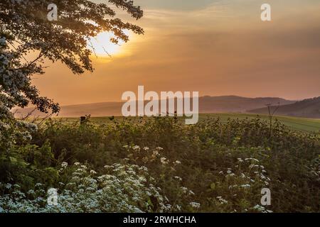 Una vista nebulosa del tramonto sulla campagna nel Sussex in tarda serata primaverile Foto Stock
