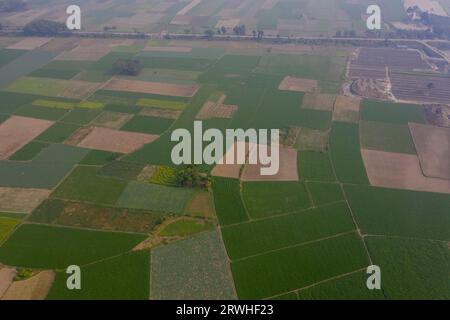 Vista aerea del campo di verdure invernali a Savar a Dacca, Bangladesh. Foto Stock