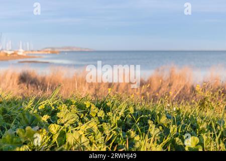 Vista sulla baia di Marseillan, Francia in una giornata invernale Foto Stock