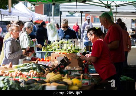 Toronto, Canada. 19 settembre 2023. People Shop in un Farmers' Market a Toronto, Canada, il 19 settembre 2023. L'indice dei prezzi al consumo (CPI) del Canada è aumentato del 4% nel mese di agosto anno dopo anno, dopo un aumento del 3,3% a luglio, Statistics Canada ha dichiarato martedì. Crediti: Zou Zheng/Xinhua/Alamy Live News Foto Stock