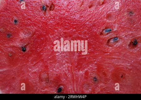 Cocomero rosso, rosa e succosa con semi in una sezione. Foto Stock