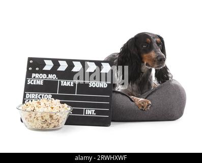 Simpatico cane cocker spaniel con ciotola di popcorn e clapperboard sdraiato sul letto di animali domestici su sfondo bianco Foto Stock