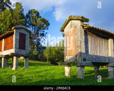 Espigueiros deposito di grano in Soajo village, Panda Geres National Park, il Nord del Portogallo Foto Stock