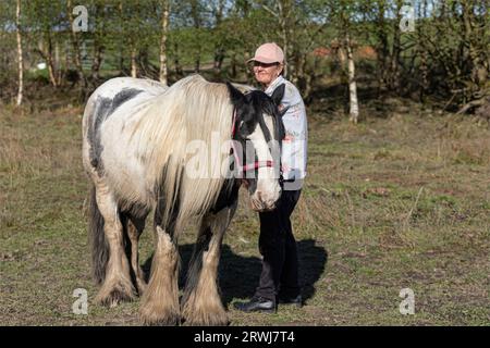 Falkirk, Scozia, Regno Unito - 11 maggio 2023 - donna più anziana con un cavallo bianco e nero irlandese con una bellissima criniera bianca Foto Stock