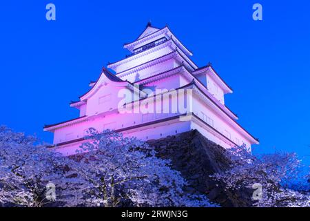 Vista notturna del castello di Tsurugajo in fiore con fiori di ciliegio Foto Stock