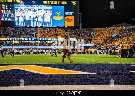 Morgantown, WV, USA. 16 settembre 2023. 16 settembre 2023: Mountaineer durante la West Virginia University (WVU) contro l'Università di Pittsburgh (Pitt) a Morgantown, WV al Milan Puskar Stadium. Bradley Martin/AMG (immagine di credito: © AMG/AMG via ZUMA Press Wire) SOLO PER USO EDITORIALE! Non per USO commerciale! Foto Stock