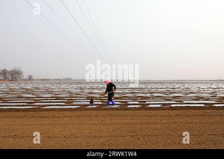 CONTEA DI LUANNAN, Cina - 11 marzo 2022: Gli agricoltori coltivano patate nei campi, Cina settentrionale Foto Stock