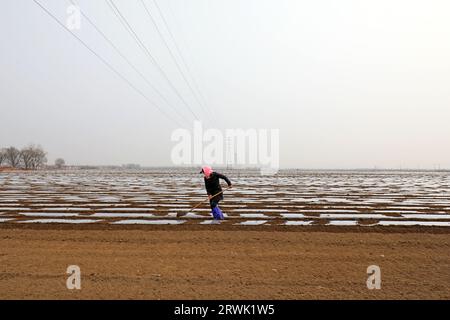 CONTEA DI LUANNAN, Cina - 11 marzo 2022: Gli agricoltori coltivano patate nei campi, Cina settentrionale Foto Stock