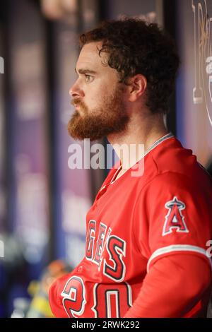 Los Angeles Angels' Jared Walsh (20) watches his fly ball against Texas ...