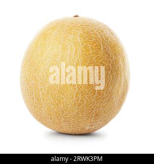 Tutto il Melone Galia isolato su bianco con ombra Foto Stock