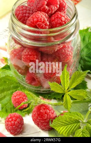 Lamponi freschi in un vaso con foglie di lampone Foto Stock