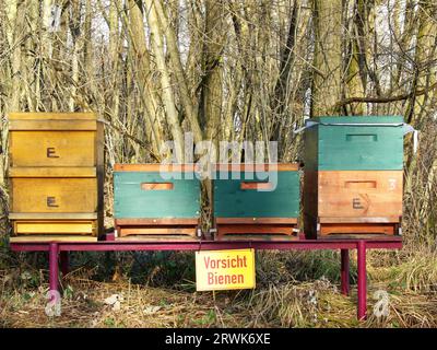 Quattro scatole di api colorate, di due dimensioni diverse, alberi di sfondo Foto Stock