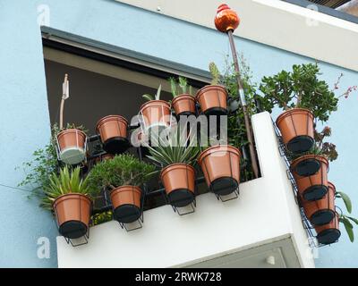 Balcone ad un'altezza elevata con molti vasi di piante e piante diverse Foto Stock