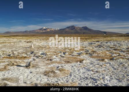 Vista pittoresca del boliviano Sajama Parco nazionale e di alcune delle sue vette più alte Foto Stock