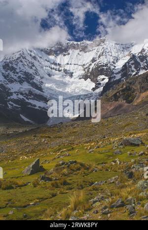 Cime maestose e allevamento di lama in Ausangate in Perù, sud americana Andes Foto Stock