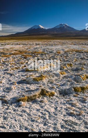 Vista panoramica del boliviano vulcani Pomerape e Paranicota, picchi più alti in Sajama Parco Nazionale in Bolivia Foto Stock