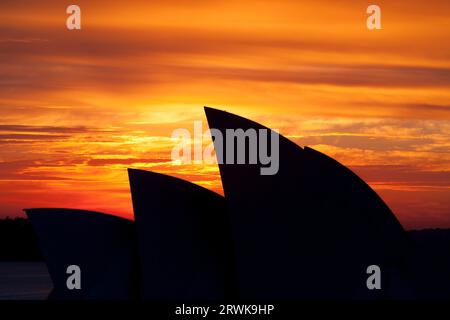 Sydney, Australia, 20 agosto, la Sydney Opera House è caratterizzata da una brillante alba invernale il 20 agosto 2009 Foto Stock