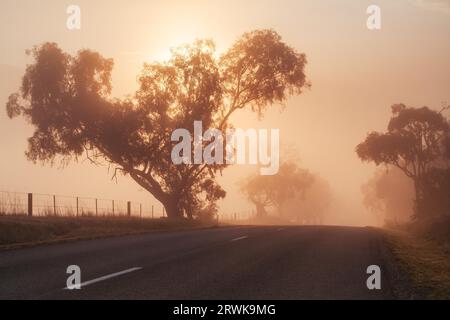 Il sole invernale sorge su una fredda nebbia e una mattinata gelata nella Yarra Valley, Victoria, Australia Foto Stock