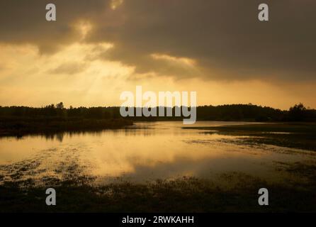 Il Darss confina con il Fischland a nord-est e si fonde con la penisola dello Zingst a est, dove confina con il Prerow Stream. Nel Foto Stock