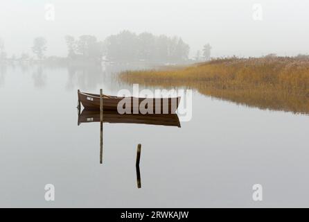 L'isola di Ummanz, Ruegen, che si trova sul Kubitzer e Schaproder Bodden, è dopo tutto la quarta isola più grande del Meclemburgo-Vorpommern con Foto Stock