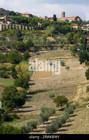 La città di Casole d'Elsa Foto Stock