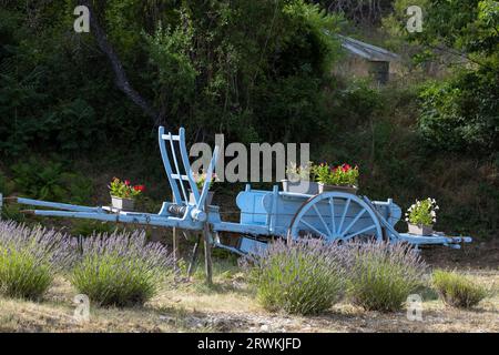 Carrello in legno blu con lavanda in Provenza, Francia Foto Stock